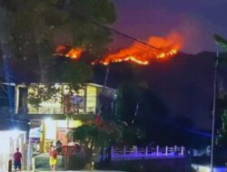 Sudah 6 Hari Kebakaran Hutan di Tana Toraja Titik Api Mulai Dekati Permukiman Warga